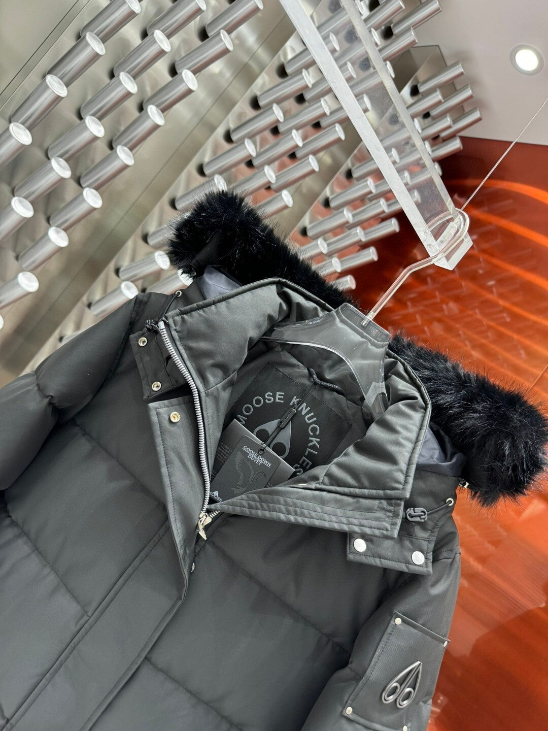 Chaquetón MOOSE KNUCKLES Gris Oscuro